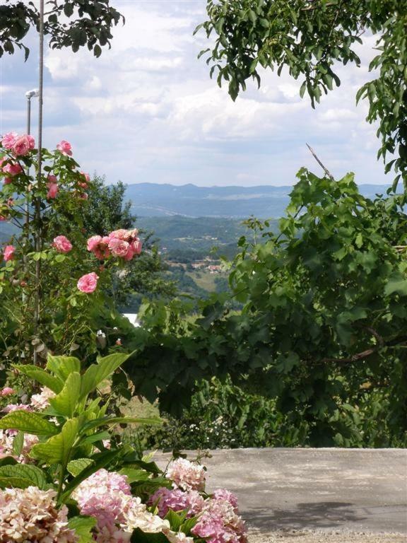 Apartman Vojskovic Gračišće 外观 照片